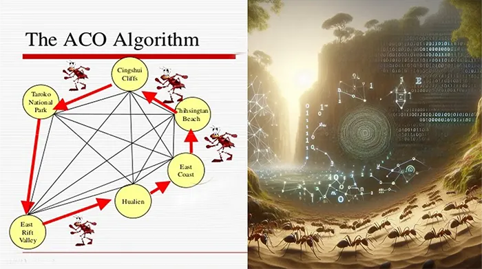 Ants & Delivery Routes