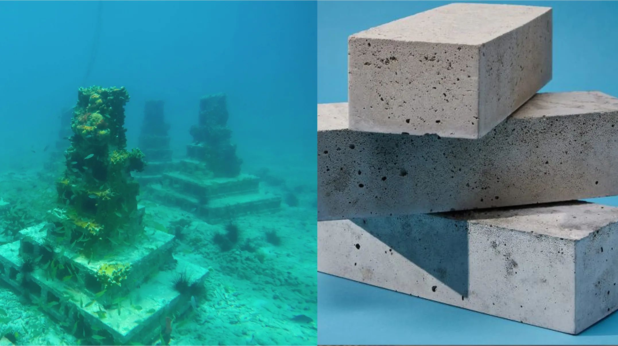 Coral Reefs & Green Cement