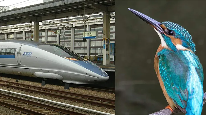 Kingfisher & the Bullet Train