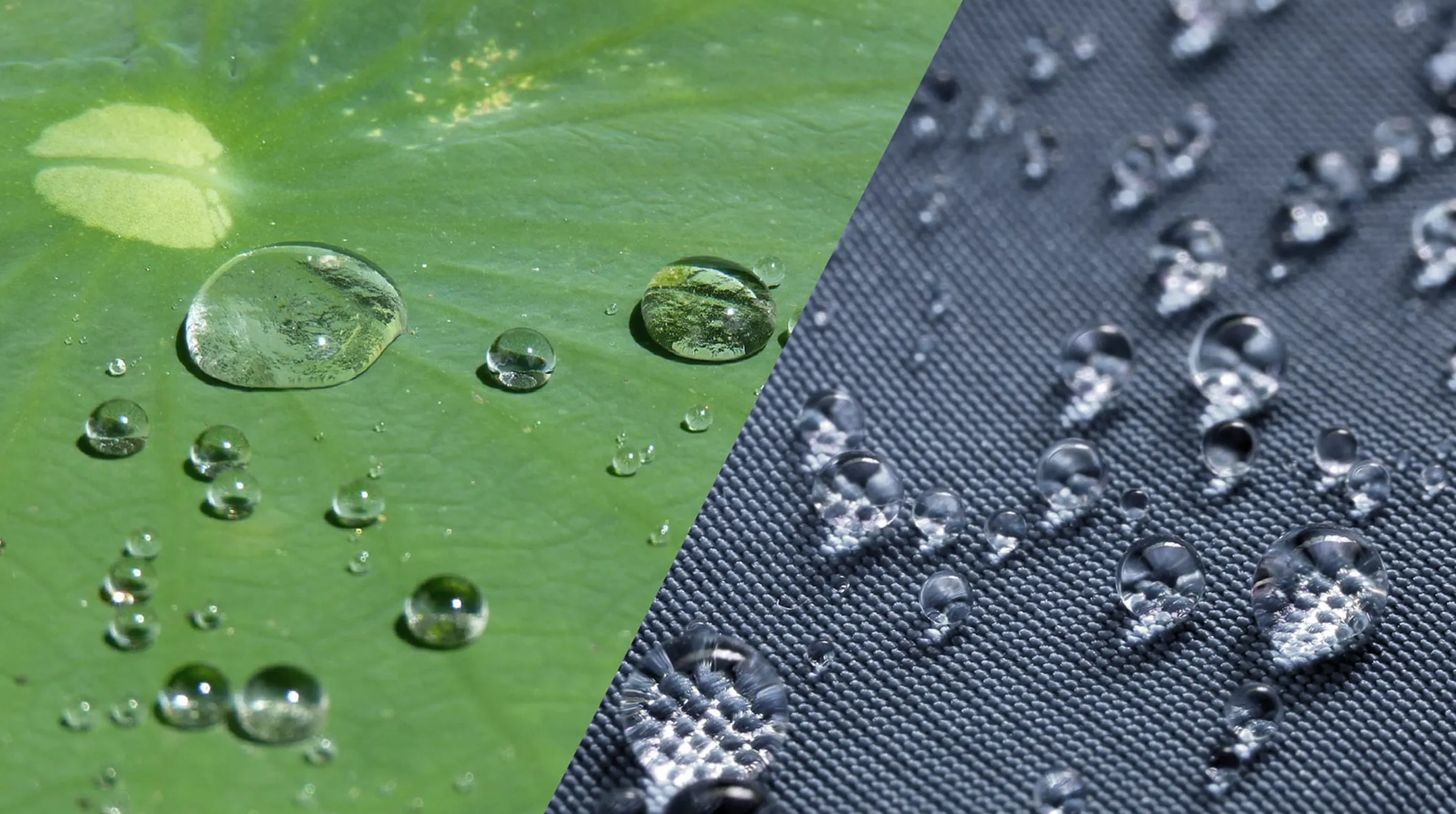 Lotus Leaf & Self-Cleaning Tech