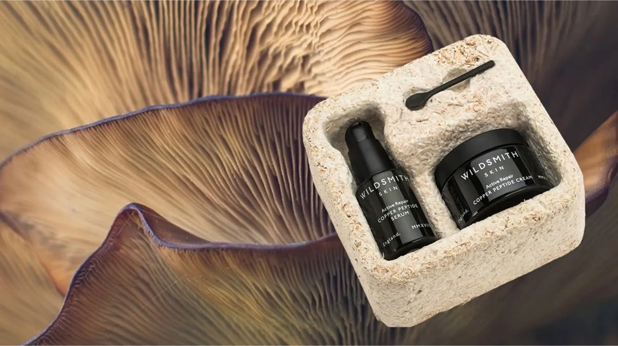 Mycelium & Packaging